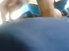 Lechera da cuarenton ...